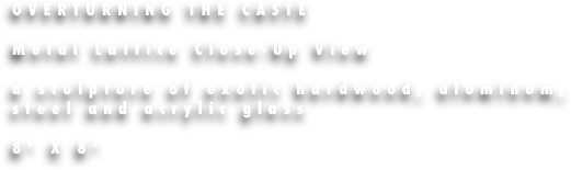 OVERTURNING THE CASTE

Metal Lattice Close-Up View

a sculpture of exotic hardwood, aluminum, steel and acrylic glass

8’ X 8’