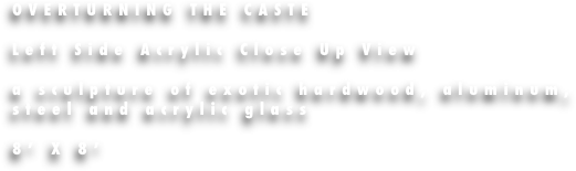 OVERTURNING THE CASTE

Left Side Acrylic Close Up View

a sculpture of exotic hardwood, aluminum, steel and acrylic glass

8’ X 8’
