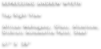 REPRESSING ANDREW WYETH

Top Right View

African Mahogany, Glass, Aluminum, Dichroic Automotive Paint, Steel

61” X  38”